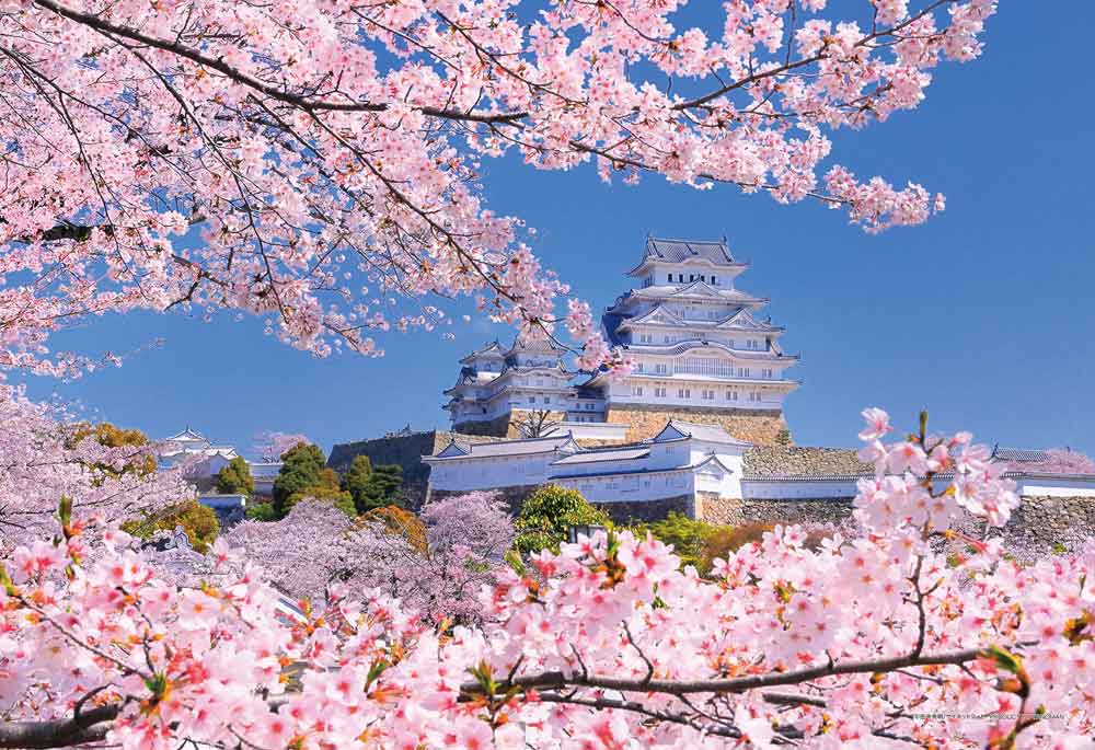 桜重なる姫路城（兵庫）